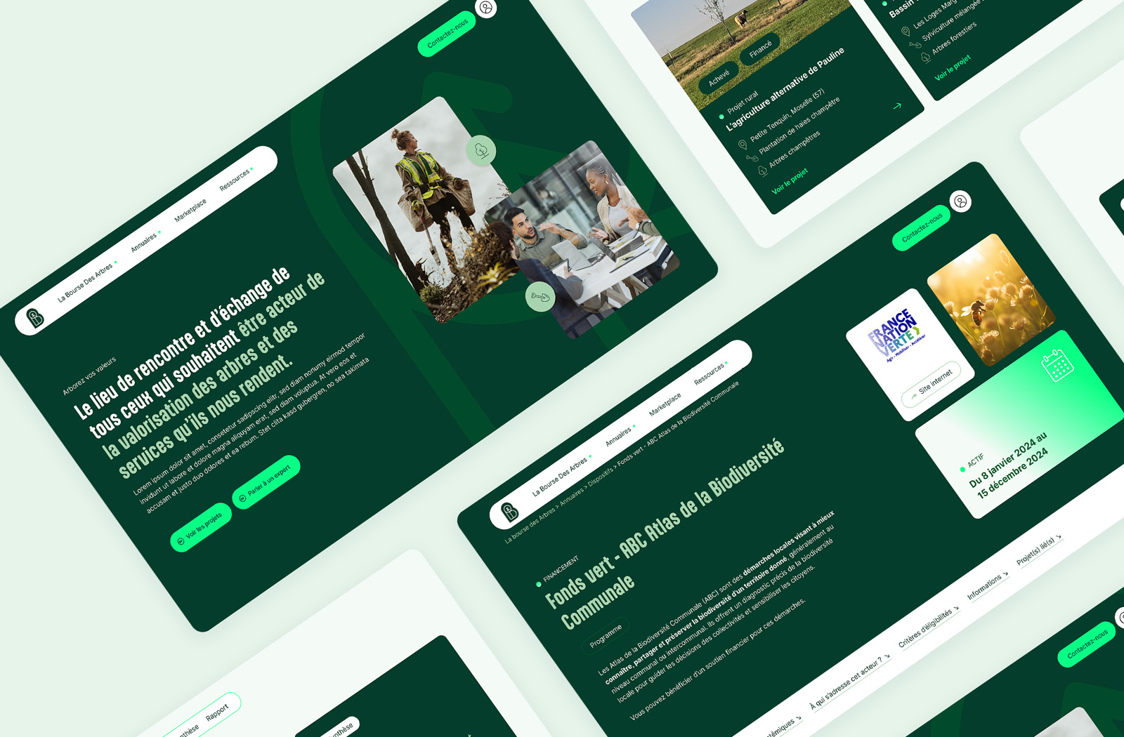 Josselin Tourette – graphiste – nancy – Bourse des Arbres – site – internet – 2