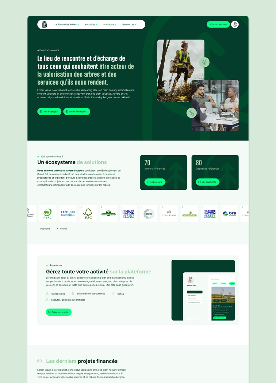 Josselin Tourette – graphiste – nancy – Bourse des Arbres – site – internet – 3