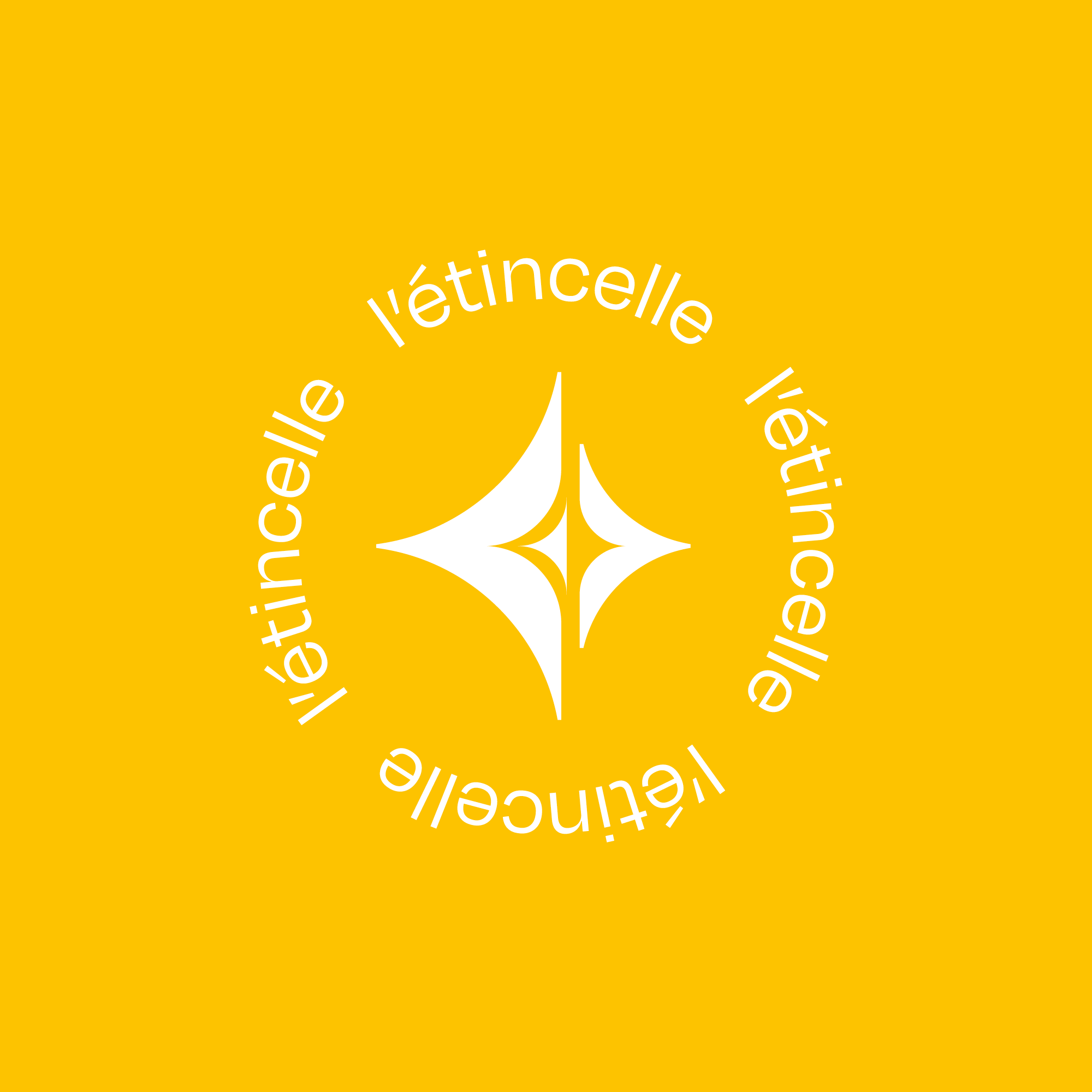 Josselin-Tourette-vosges-remiremont-letincelle-identite-visuelle-2