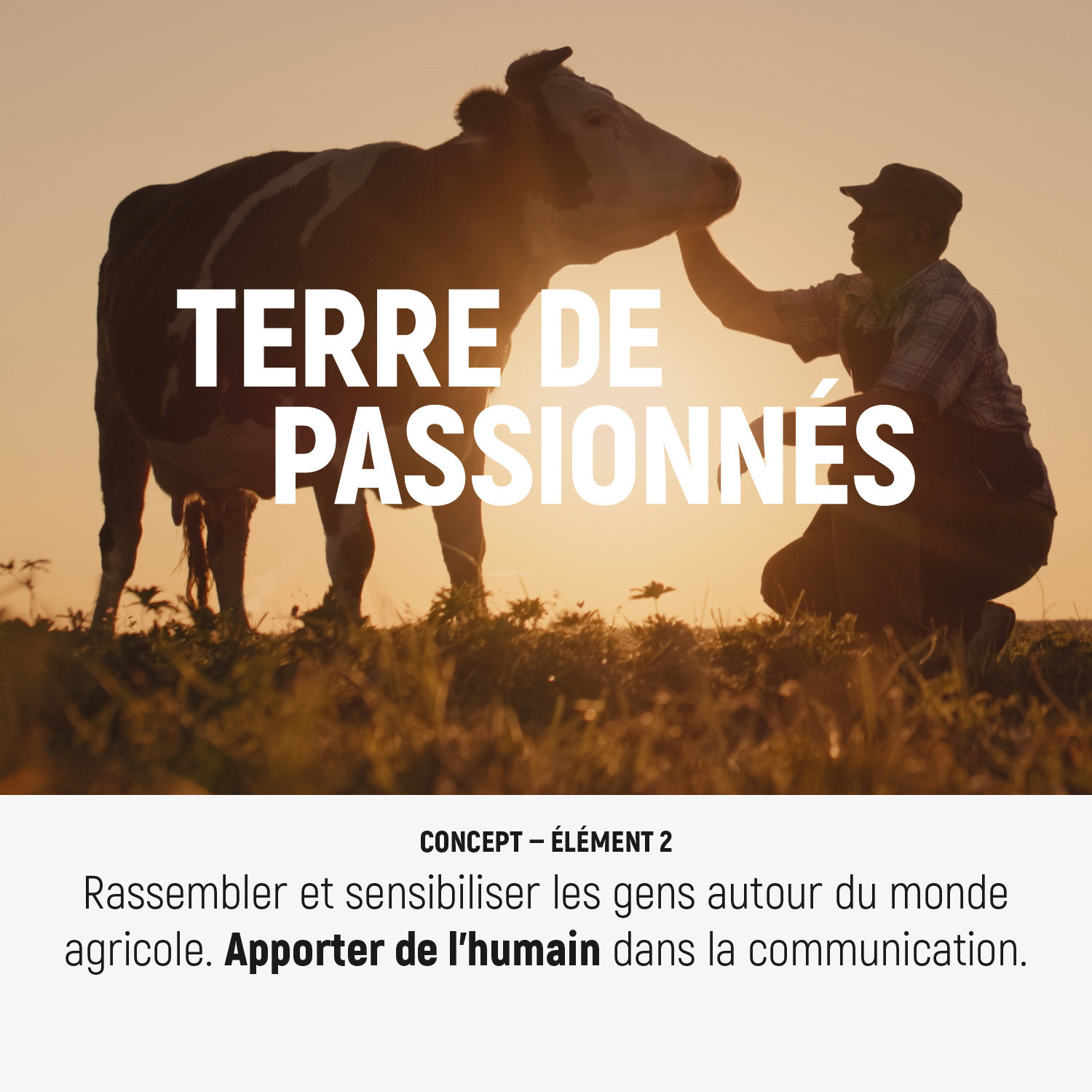 Josselin-Tourette-publicite-vosges-remiremont-Salon-Agriculture-Paris-concept-3